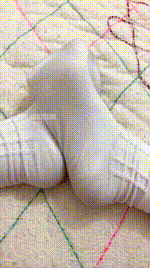 【敢敢】没下限的绿狗260208-19