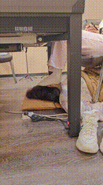 【是樱樱呀】棋牌室桌下品尝袜子 JS260208-26