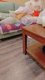 【是樱樱呀】物化家具奴【二】 JS260208-38