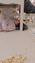 【是樱樱呀】踩脸舔脚吃脚 JS260207-21