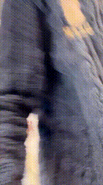 【双子】双S-纹身小妹首调场 JS260211-4