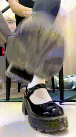 【柠萌小主】抽签游戏260207-10封面图