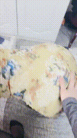 【野草】黑丝踩虐母狗 JS260210-19封面图