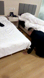 【芝芝女王】宾馆暴揍跑骚奴 JS260208-1封面图