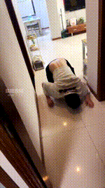 【蛋蛋老师】居家女神玩犬奴 bf61061封面图