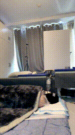 【荷花会所】多主圣水盛宴 JS260208-6封面图