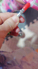 【初恋大大】户外逗狗-高跟踩奴【完整版】 JS260224-2_1封面图