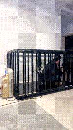 【贝拉】狗笼囚禁犬化情侣奴 JS260208-17封面图