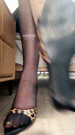 【咬猫】绿母nmb痒了260212-17封面图