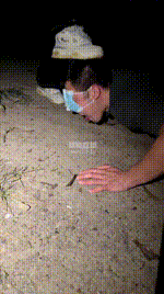 【Niki】户外遛狗犬化场 JS260214-31封面图