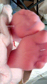 【乔乔在这里】弱智脑残J液面膜260212-13封面图