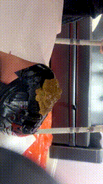 【Yu】黄金奶油蛋糕喂食260214-19封面图