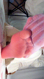 【乔乔在这里】弱智sb隔内裤鹿260222-17_1封面图