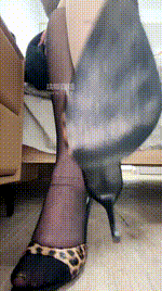 【咬猫】诅咒司马跪下忏悔260212-18_1封面图