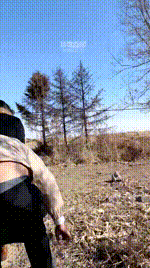 【兰主人】户外遛狗犬化 JS260224-15封面图