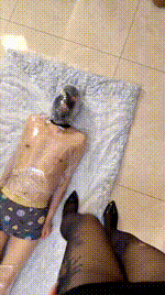 【大乔】木乃伊狗-窒息场 JS260225-25封面图