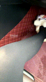 【黛安娜】车内黑丝挑逗司机奴【下】 JS260225-5封面图