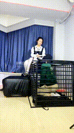 【酷伊】偷偷玩圈养狗 JS260219-7封面图