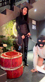 【爱丽丝】长靴白棉袜训野狗 JS260221-3封面图