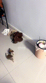 【贝拉】高跟碾压踩家奴 JS260218-6_2封面图