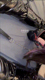 【KinectPP】犬化初级调教放置【完整版】JS260227-25_2封面图