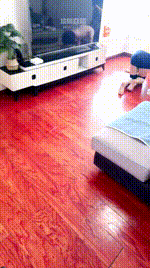【夫妻主糖糖】圈养犬化脚下羞辱JS260307-6封面图