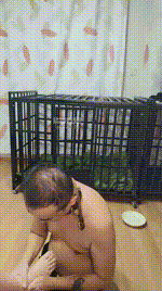 【沈阳饲养员】真实犬化实录JS260317-20封面图