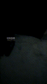 【甜甜】户外玩狗场JS260322-73封面图
