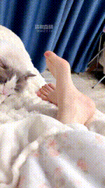 【女神mio】玉足诱惑260323-17封面图