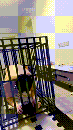 【百柔】圈养狗笼犬化场JS260330-6封面图