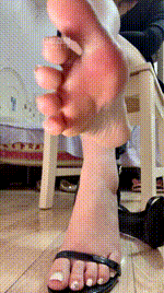 【咬猫】司马孤儿诅咒虐杀260415-38封面图