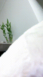 【Cat】空军白袜裸足释放260421-2封面图