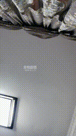 【路西法夫妻主】双狗服侍奶奶JS260423-45封面图